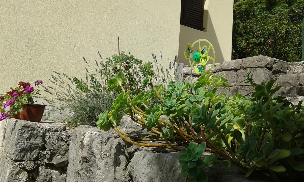 Apartment Adela Kotor Exterior foto